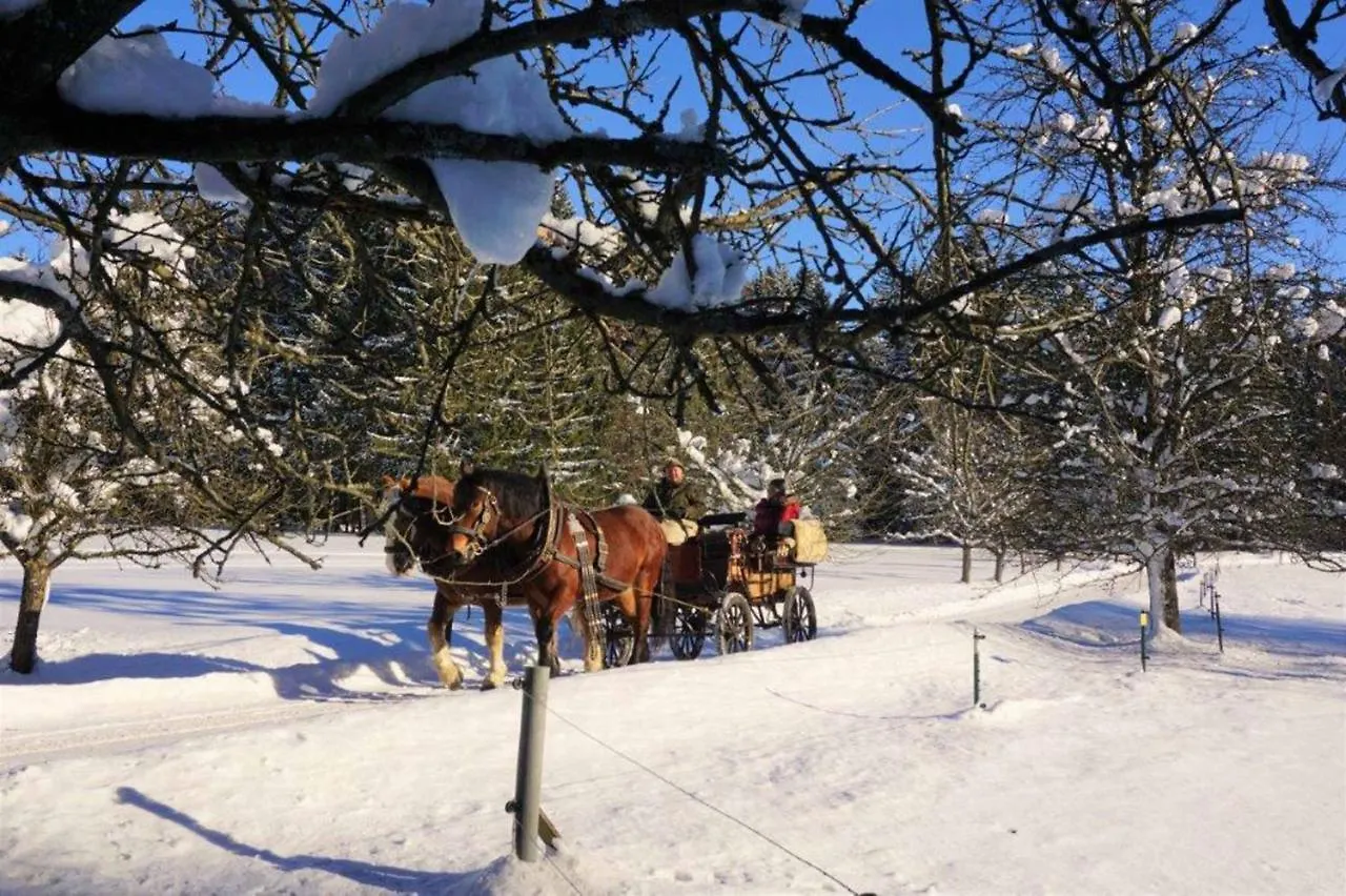 Country house Bayerwald-Ferienhof Schmid Eppenschlag Germany
